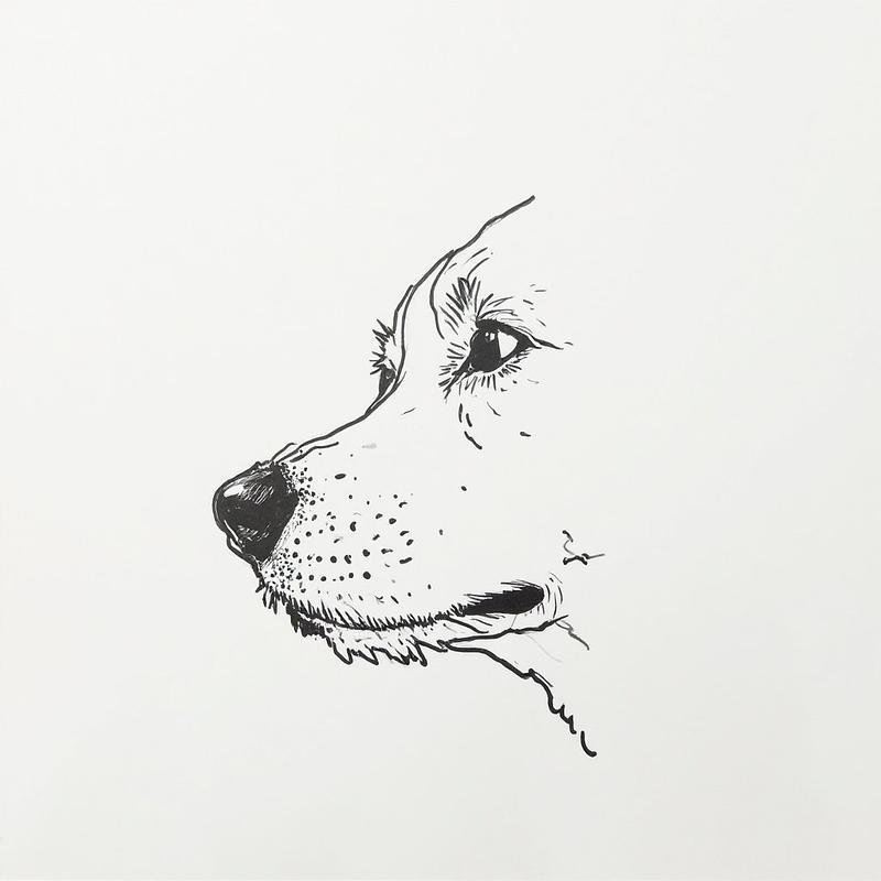 Nose