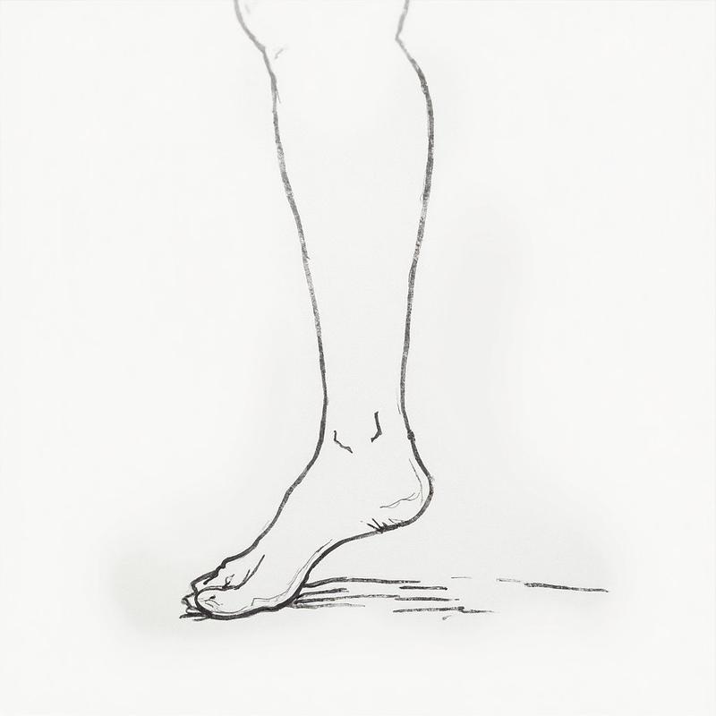 Foot